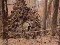 Mount Changbai: China's Sacred Peak Where Nature Writes Poetry 🏔️❄️