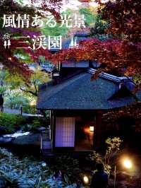 横浜にいながら古都の風情を感じられます！