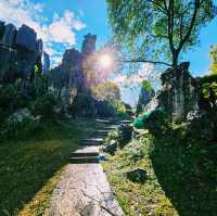 Nature’s Sculpture: Shilin Stone Forest