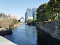 🌸 Seasonal Serenity at Shinjuku Gyoen National Garden