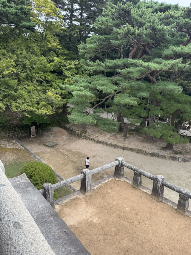 한국의 미를 느낀 하루 🇰🇷