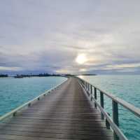 Rocking Paradise Found