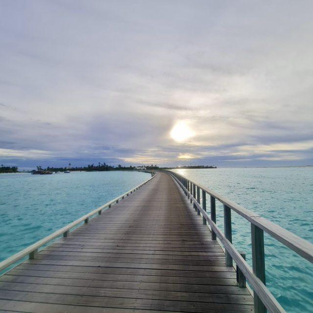 Rocking Paradise Found