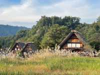 Shirakawa-go หมู่บ้านมรดกโลก 🛖🌿
