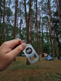 ⛺️ ลานกางเต็นท์ ดงสน | ดอยอินทนนท์
