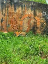 🐾 Wild Encounters in Paradise – Discover Safari Lagoi Bintan