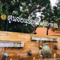 ศูนย์อนุรักษ์พันธุ์เต่าทะเล กองทัพเรือ