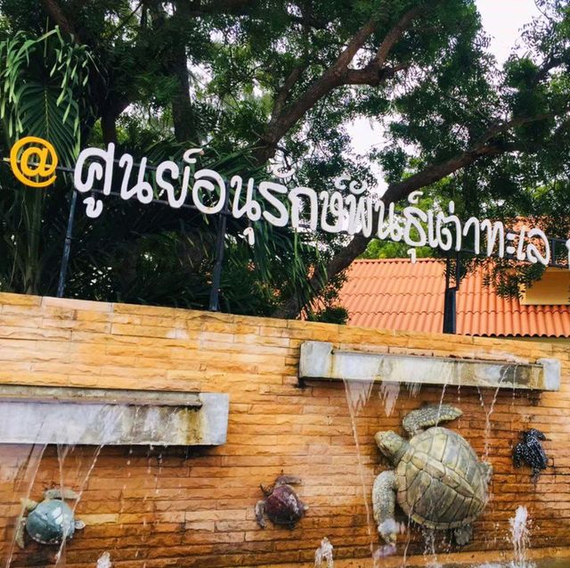 ศูนย์อนุรักษ์พันธุ์เต่าทะเล กองทัพเรือ