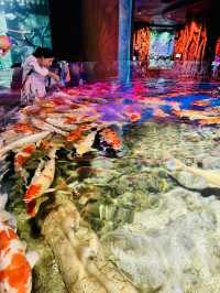 🐢🌊  The Sea Shell – Inside the Giant Turtle of VinWonders Phu Quoc
