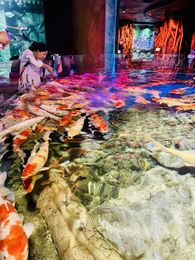 🐢🌊  The Sea Shell – Inside the Giant Turtle of VinWonders Phu Quoc