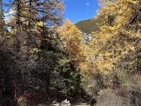  Yading (ย่าติง)ทริปใบไม้เปลี่ยนสีที่สุดพีค! 