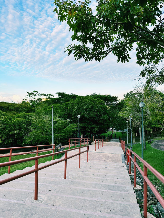 A Blooming Escape at Taman Awam Miri A Blooming Escape at Taman Awam Miri