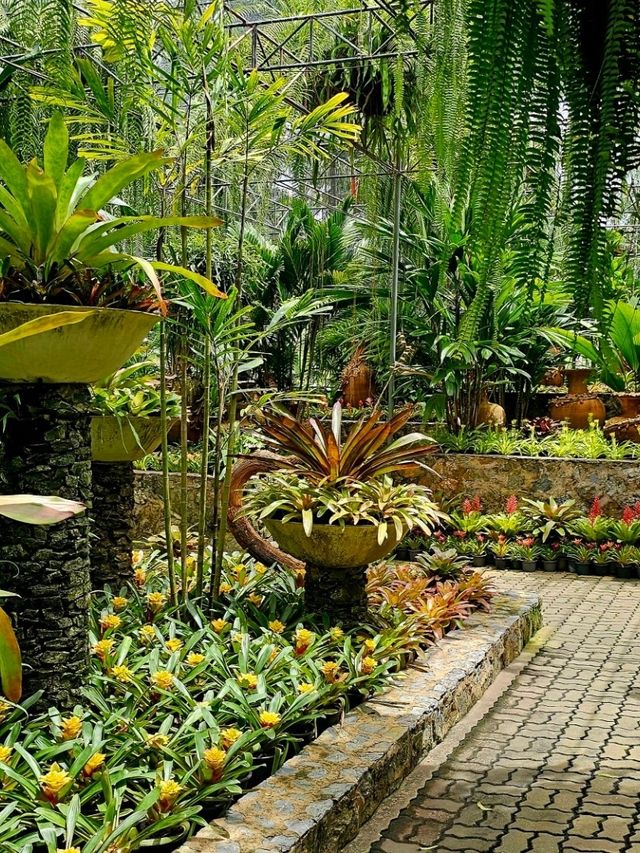 🌿 Nong Nooch Tropical Botanical Garden, Pattaya 🌿 Nong Nooch Tropical Botanical Garden, Pattaya