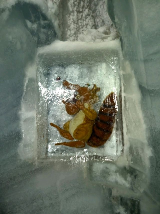 스위스 융프라우 전망대 : Ice palace 🇨🇭