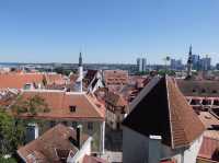 【エストニア】パットクリ展望台