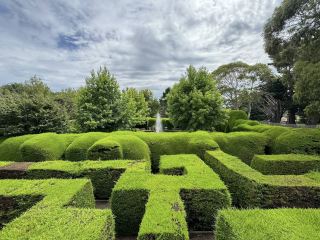 🌿🔍 Maze of Mysteries at Ashcombe Maze & Lavender Gardens — Mornington Peninsula, Australia ✨ 