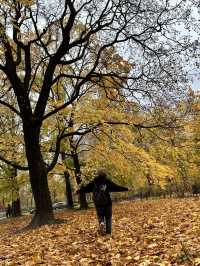 Sibelius Monumentti - อนุเสาวรีย์นักกวีดัง