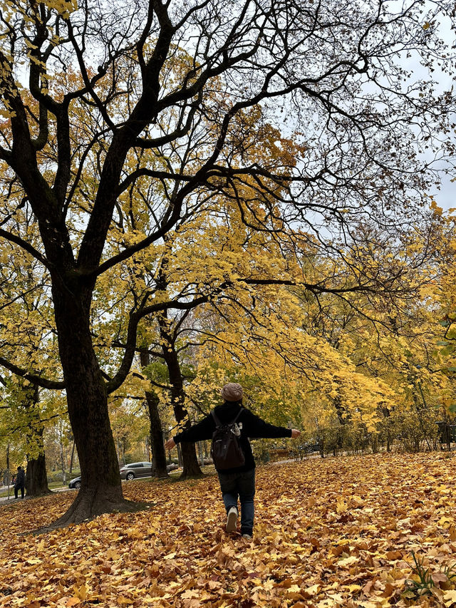 Sibelius Monumentti - อนุเสาวรีย์นักกวีดัง