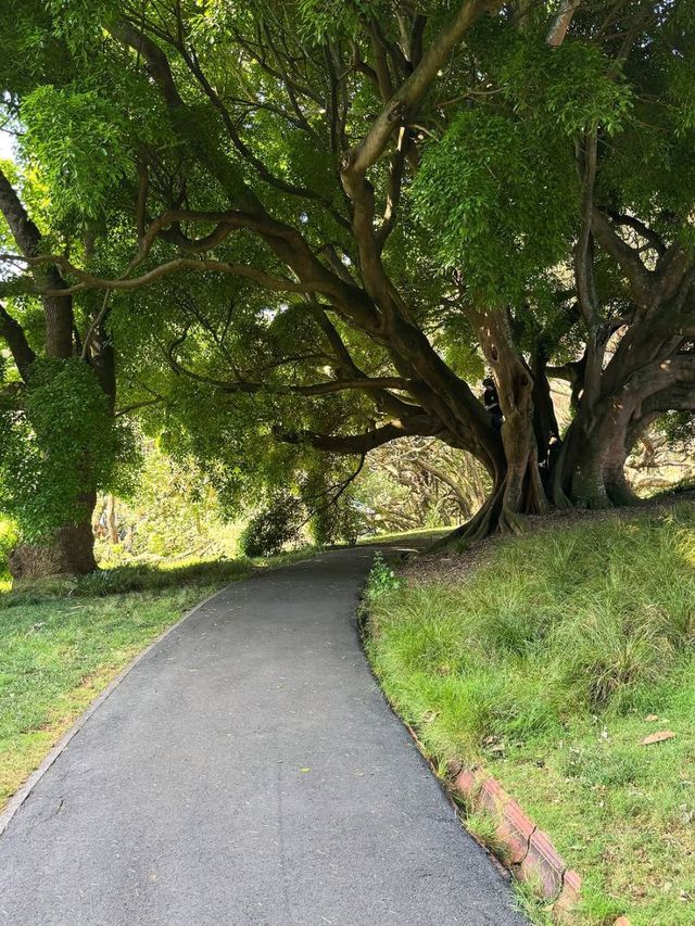 A Peaceful Green Escape in the Heart of Auckland