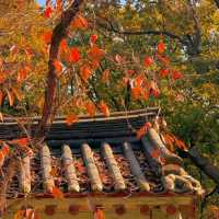 🏛️ Jongmyo Shrine – Seoul’s Timeless Confucian Heritage