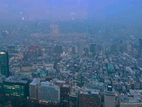 🏙️ Tokyo Metropolitan Government Building South Observatory — A Sky-High View for Free