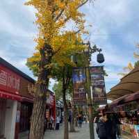 สุสานทหารจิ๋นซีฮ่องเต้