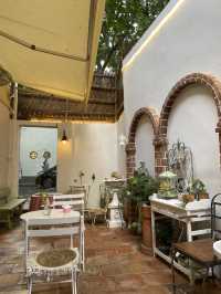 Shanghai Night Magic✨