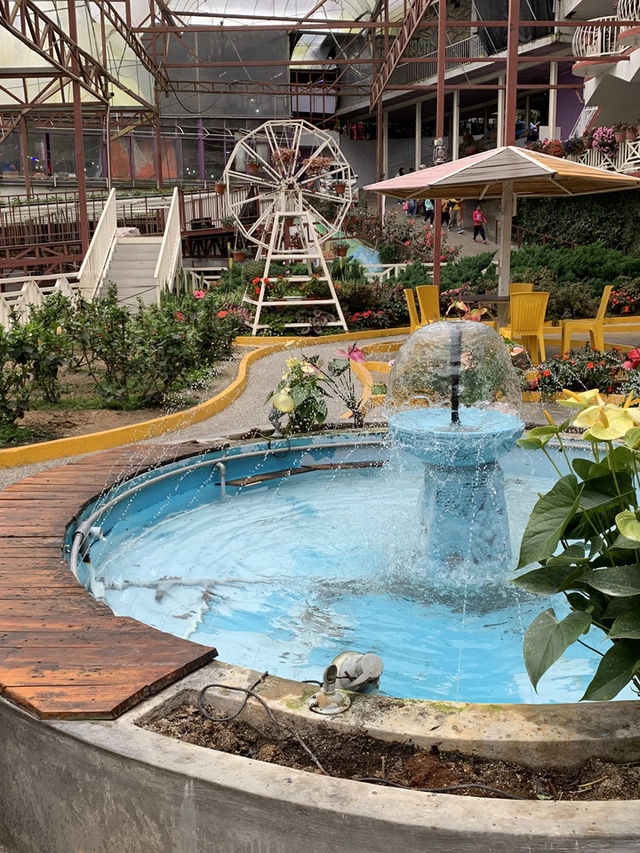 Cameron Highlands Short But Memorable Trip ✨