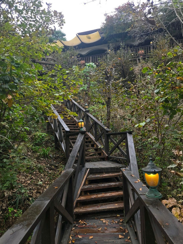 🤎가평 릴리 숲뷰가 아름다운 가을 추천🧡