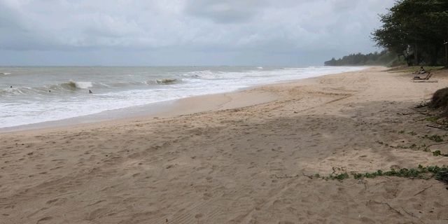 Sky Meets Sea🌊Deasru jhohor baru malasiya tree,Johor Bahru: Beyond Singapore’s Shadow – Your Next A