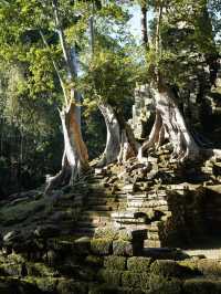 Nature Meets History🌿