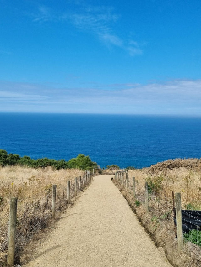 Duendin 의 Tunnel Beach🌊