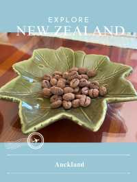 【NZ】🌿 Aucklandの街|海と緑が心地よく共存する都市