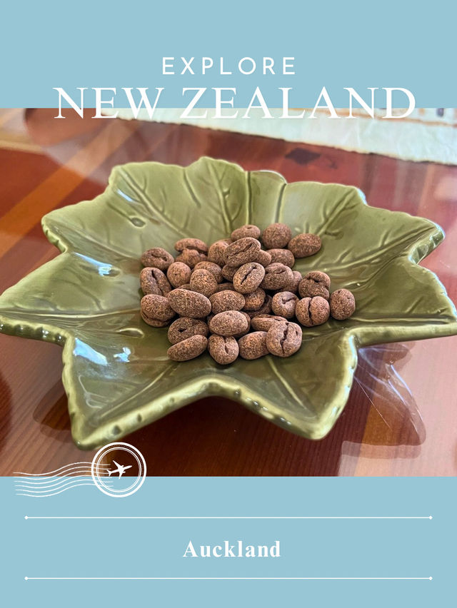 【NZ】🌿 Aucklandの街|海と緑が心地よく共存する都市 【NZ】🌿 Aucklandの街|海と緑が心地よく共存する都市