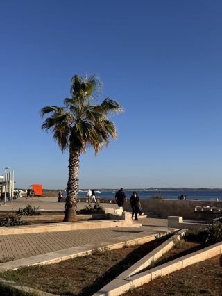 The beautiful city shaped by the Mediterranean, Gallipoli