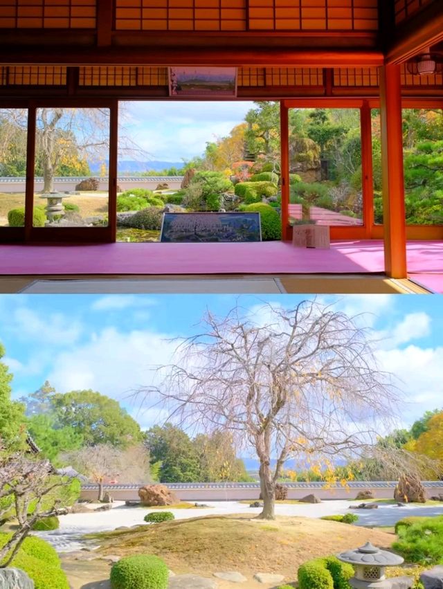 京都小眾賞楓秘境|正法寺禪意紅葉之旅🍁 京都小眾賞楓秘境|正法寺禪意紅葉之旅🍁