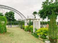 A Slow Walk Through Serenity: Discovering the Calm & Green Garden