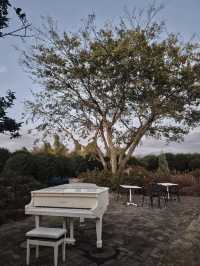 ๐ฟ ์ ์ฃผ์์ ๋ง๋๋ ๊ฐ์ฑ ๊ฐ๋ํ ๊ณต๊ฐ, ๋ง๋
ธ๋ฅด๋ธ๋ ๐ฟ