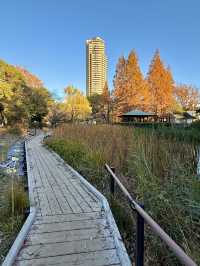 From Leaves to Blooms: Autumn Still Lives Here