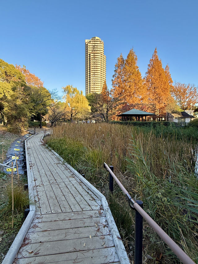 From Leaves to Blooms: Autumn Still Lives Here From Leaves to Blooms: Autumn Still Lives Here