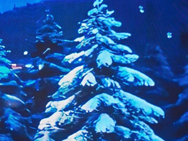 深圳薈語酒店,萬象城二期,Caparesh 餐廳 深圳薈語酒店,萬象城二期,Caparesh 餐廳