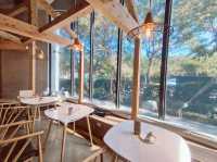 城市裡的靜謐綠洲:虎頭山「禾林浮島」早午餐&虎頭山創新園區散策