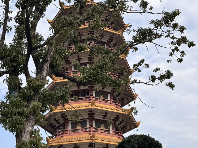 被七寶古鎮狠狠拿捏的一天