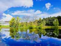 Glasshouse Calm & Nordic Bloom