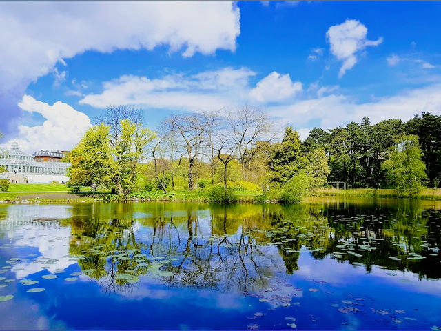 Glasshouse Calm & Nordic Bloom