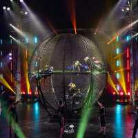 Phuket Circus (The Adrenaline Rush)