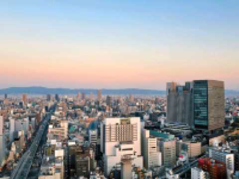 빛이 피어나는 밤