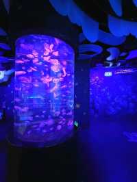 SEA LIFE  ย้อนวัยเด็กที่อควาเรียมกลางกรุง 🐠🪼🪸