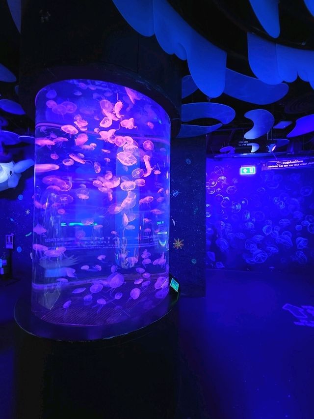 SEA LIFE  ย้อนวัยเด็กที่อควาเรียมกลางกรุง 🐠🪼🪸