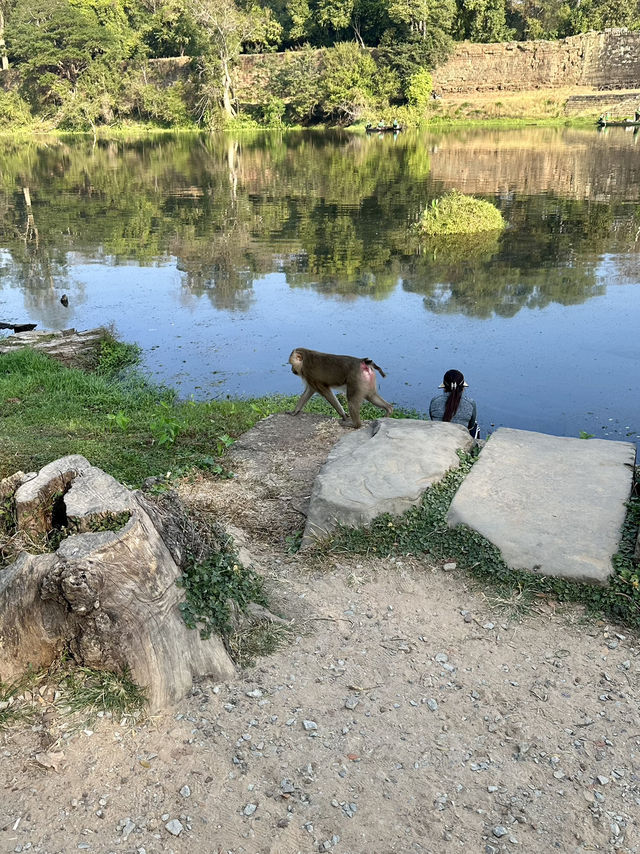 Epic Early Morning at Angkor Thom: Walking Into Ancient History 🚶♂️🛕
